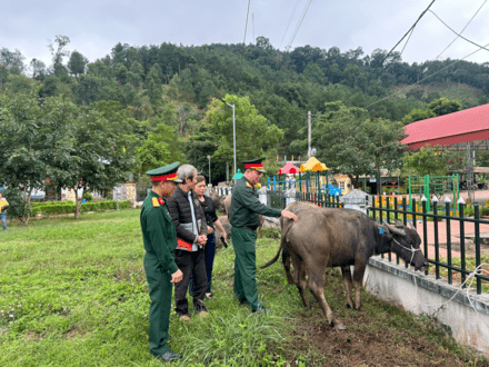 Kinh tế - Chính trị