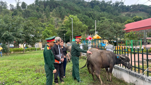 XÃ KIÊN MỘC TỔ CHỨC BÀN GIAO TRÂU, BÒ GIỐNG CHO CÁC HỘ DÂN THUỘC DỰ ÁN PHÁT TRIỂN KINH TẾ - XÃ HỘI KHU KTQP MẪU SƠN NĂM 2024